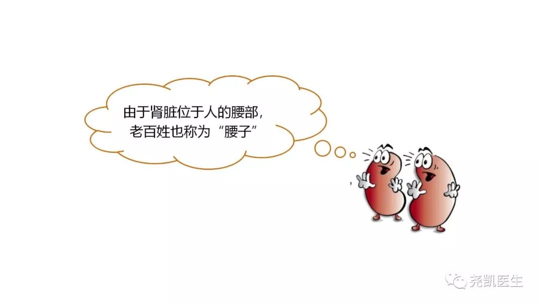 腰上有包该怎么处理,腰子鼓起来了是怎么回事