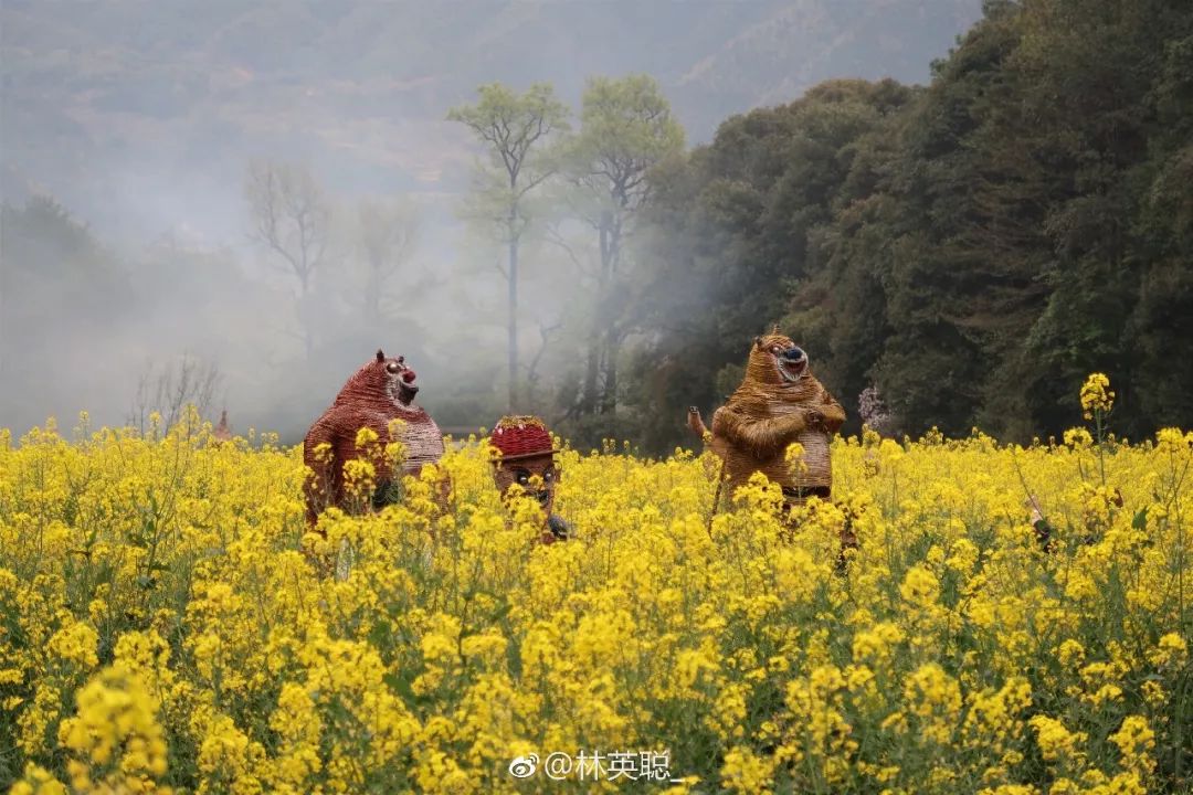 婺源油菜花一日游旅游攻略,婺源油菜花旅游攻略