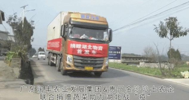 同比上升50%！润丰集团确保供港蔬菜供应，助力全国抗疫！