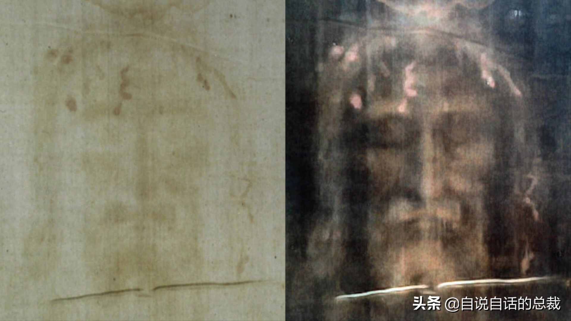 原来，你吃的鳗鱼，每一只都见过海底深渊的秘密｜自说自话的总裁