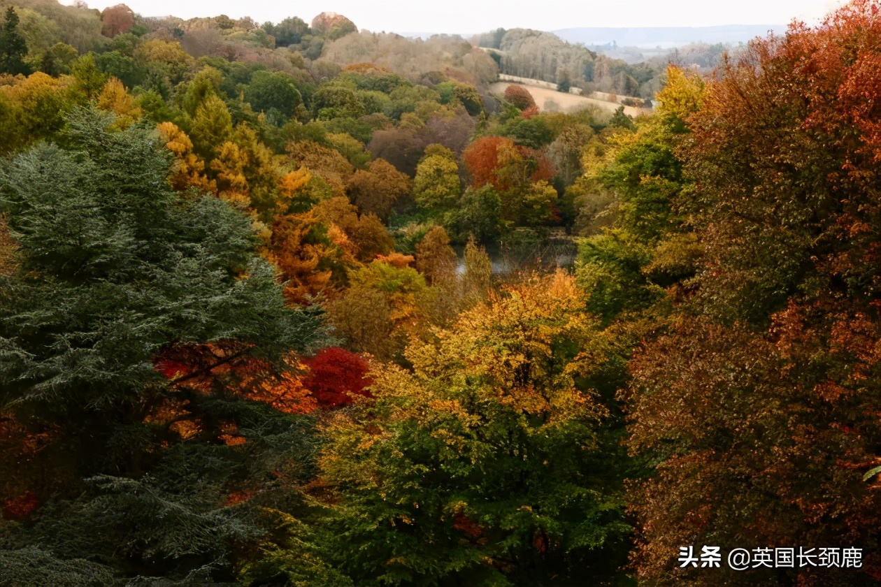 英国秋天好去处,英国秋天旅游必去的地方