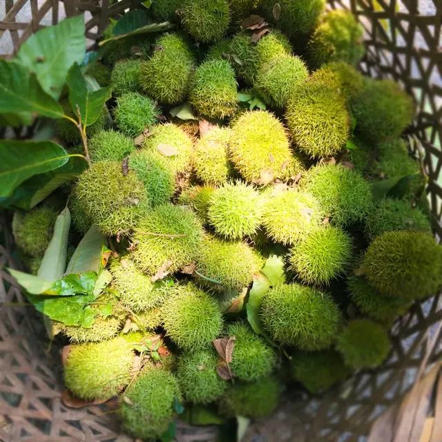 常熟人靠什么生活,常熟人的素质与特点