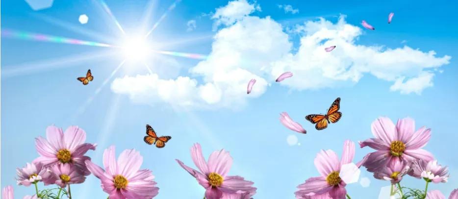 时光如白驹过隙忽然而已什么意思,人生天地之间如白驹过隙