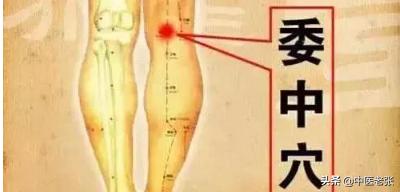 老中医顺口溜你值得拥有,超实用的中医顺口溜值得一看