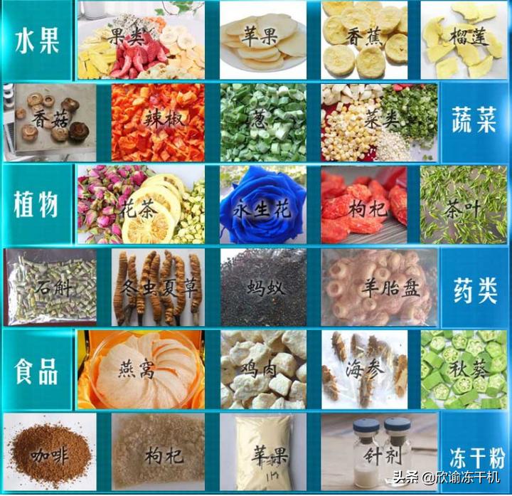 冻干机箱体内部结构,冻干机板层运作原理