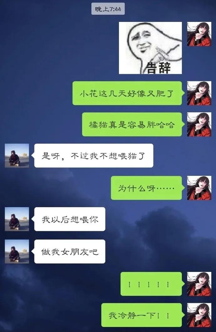 给我家猫新交了一个嘚瑟的朋友,我家猫送亲戚了准备再养一只猫