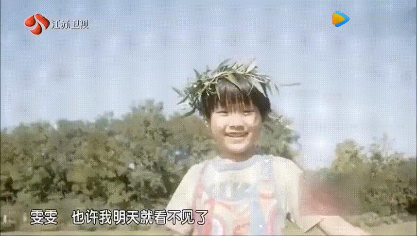 从全网黑到全网,被停播的良心国综