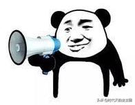 知识城幼儿园,知识城学校