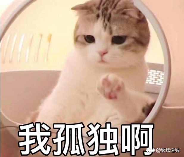 湖北崇阳方言排名第几,嘉鱼崇阳通城等湖北方言