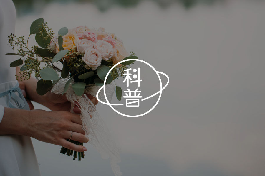 火灾自动报警系统的定义及作用,入侵报警系统应具备哪些功能