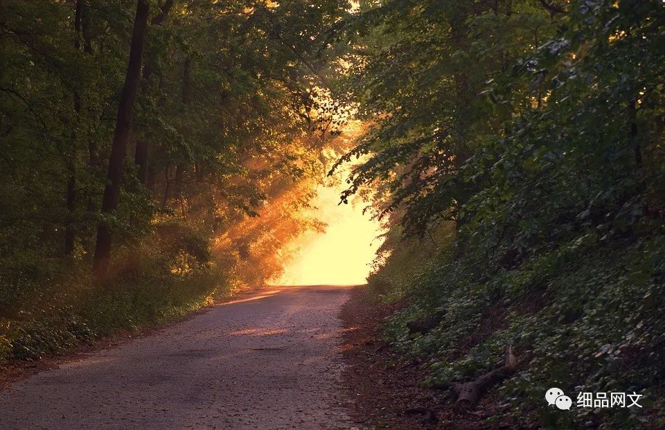 剑来最新一章解析763,剑来细品网文最新一章深度解析