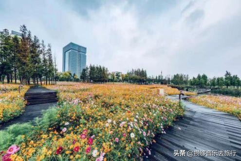 彭山五湖四海最新规划,彭山区五湖四海建设得非常漂亮