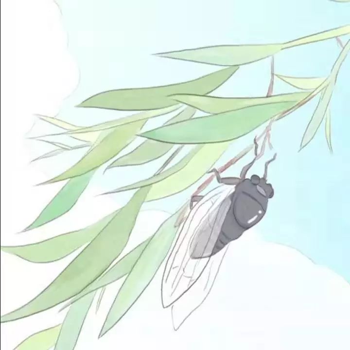 一位女大学生的家教心得:《我的家教之路与一些小建议》