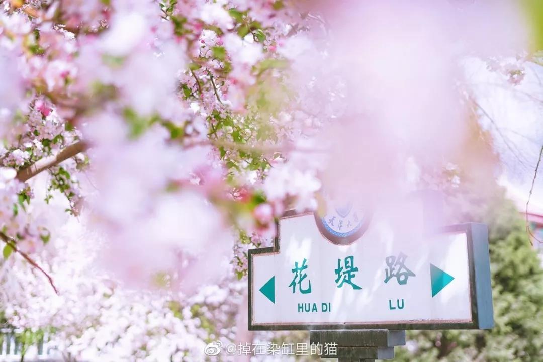 戴口罩的春节,戴口罩的冬天过去了