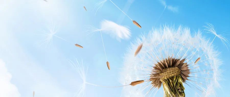 当伴侣达不到你的期待,当伴侣不思进取怎么办