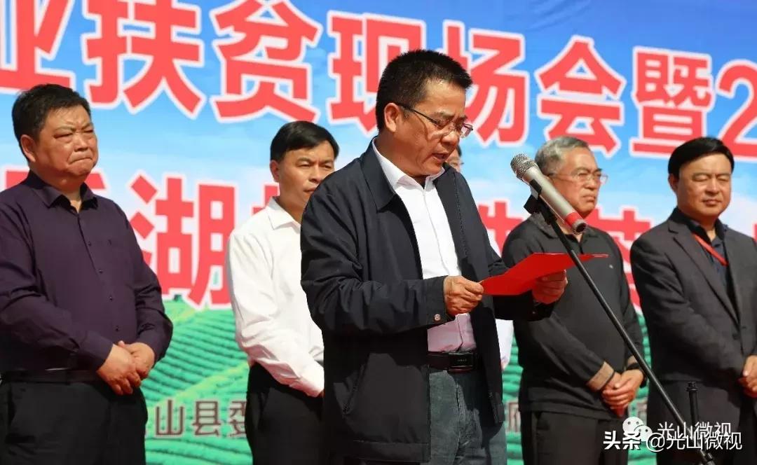 光山斗茶大赛完整版,信阳斗茶大赛获奖