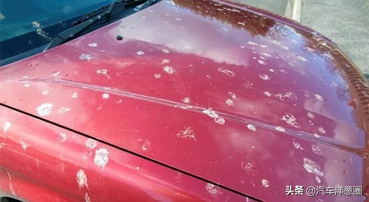 车漆最怕什么腐蚀,原车漆很容易受损吗
