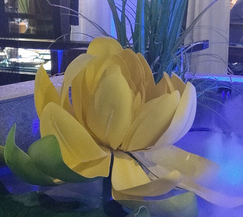 走出抑郁改变自己变得优秀,走出抑郁增强自信