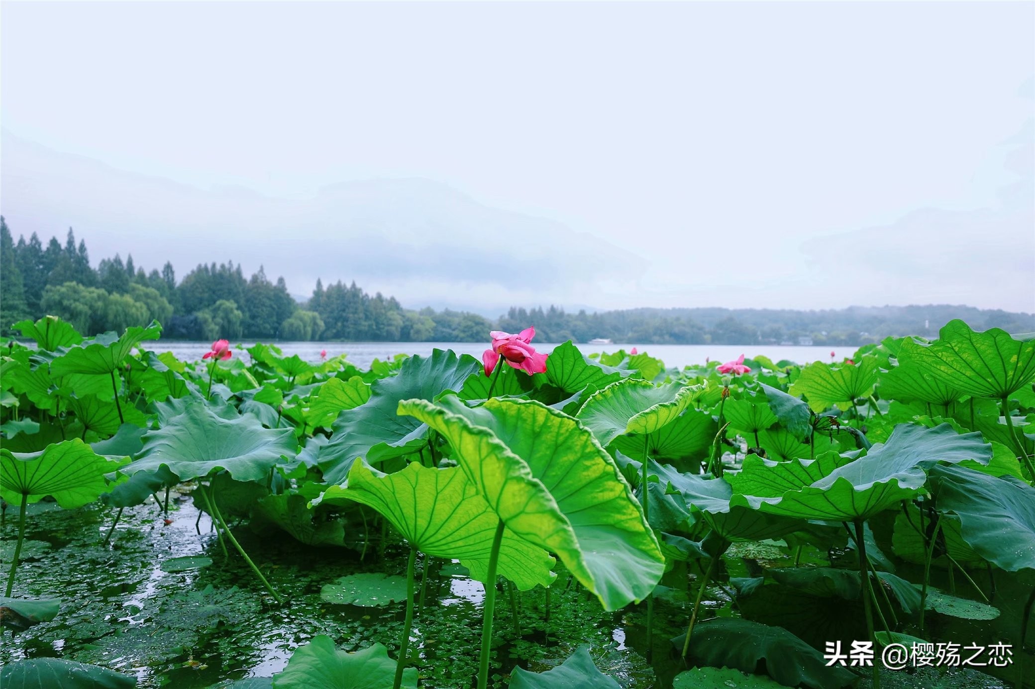 贵为古城门票,曾经最美十大名胜古迹