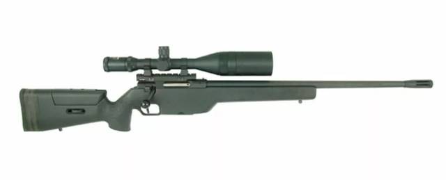世界十大现役*击狙**步枪