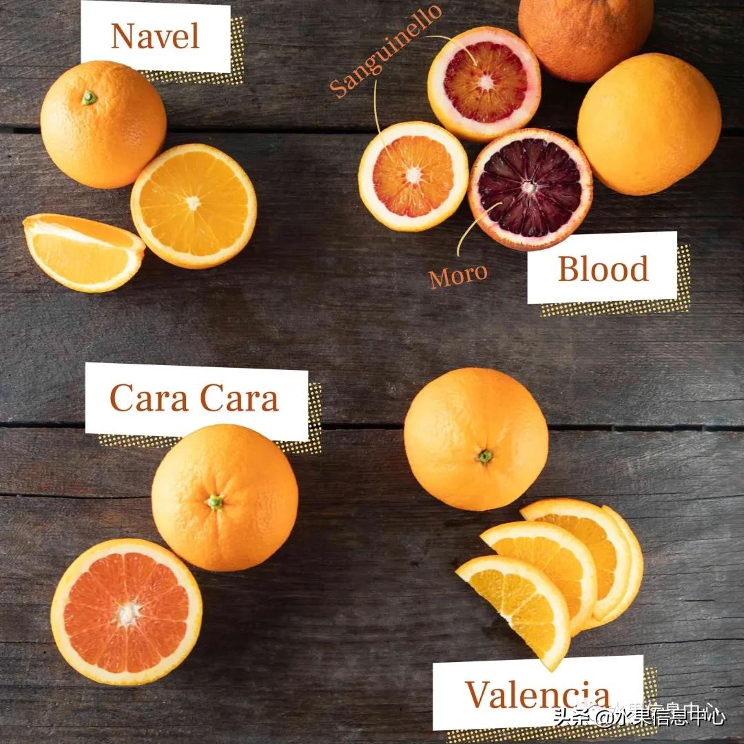 全国橙子产地在哪,中国橙子产地