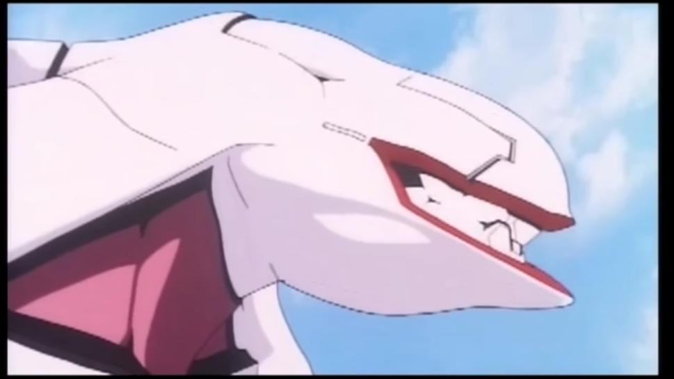 薛定谔的猫实测,欧拉白猫小野猫试驾