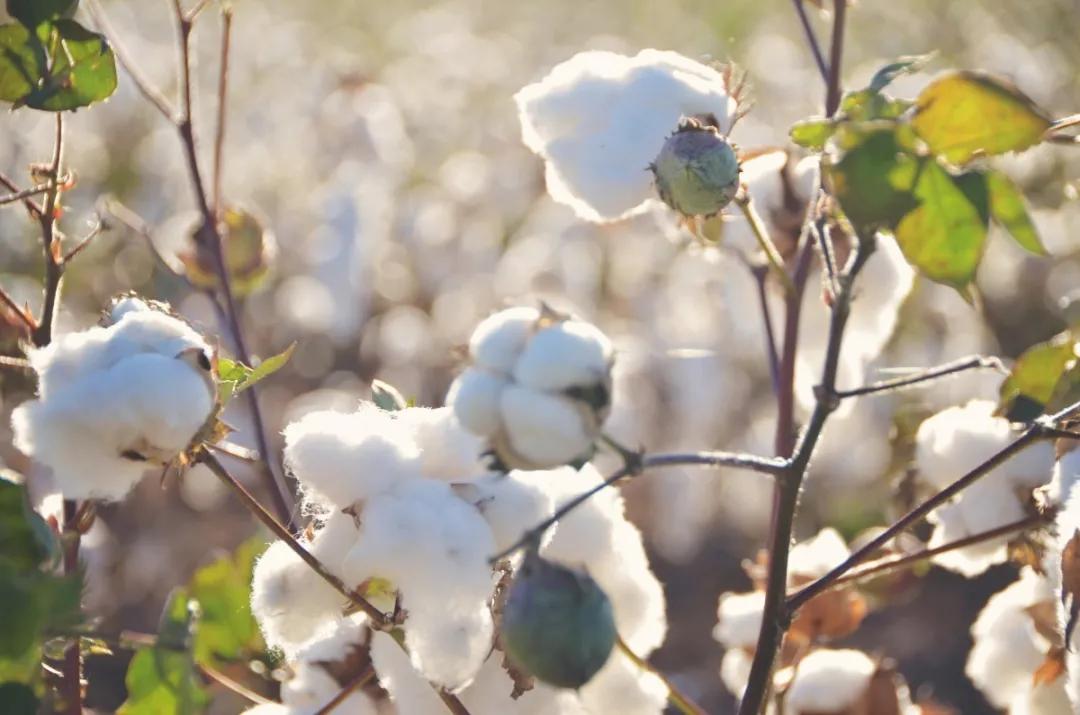 浪漫的期货,有一种浪漫叫数学