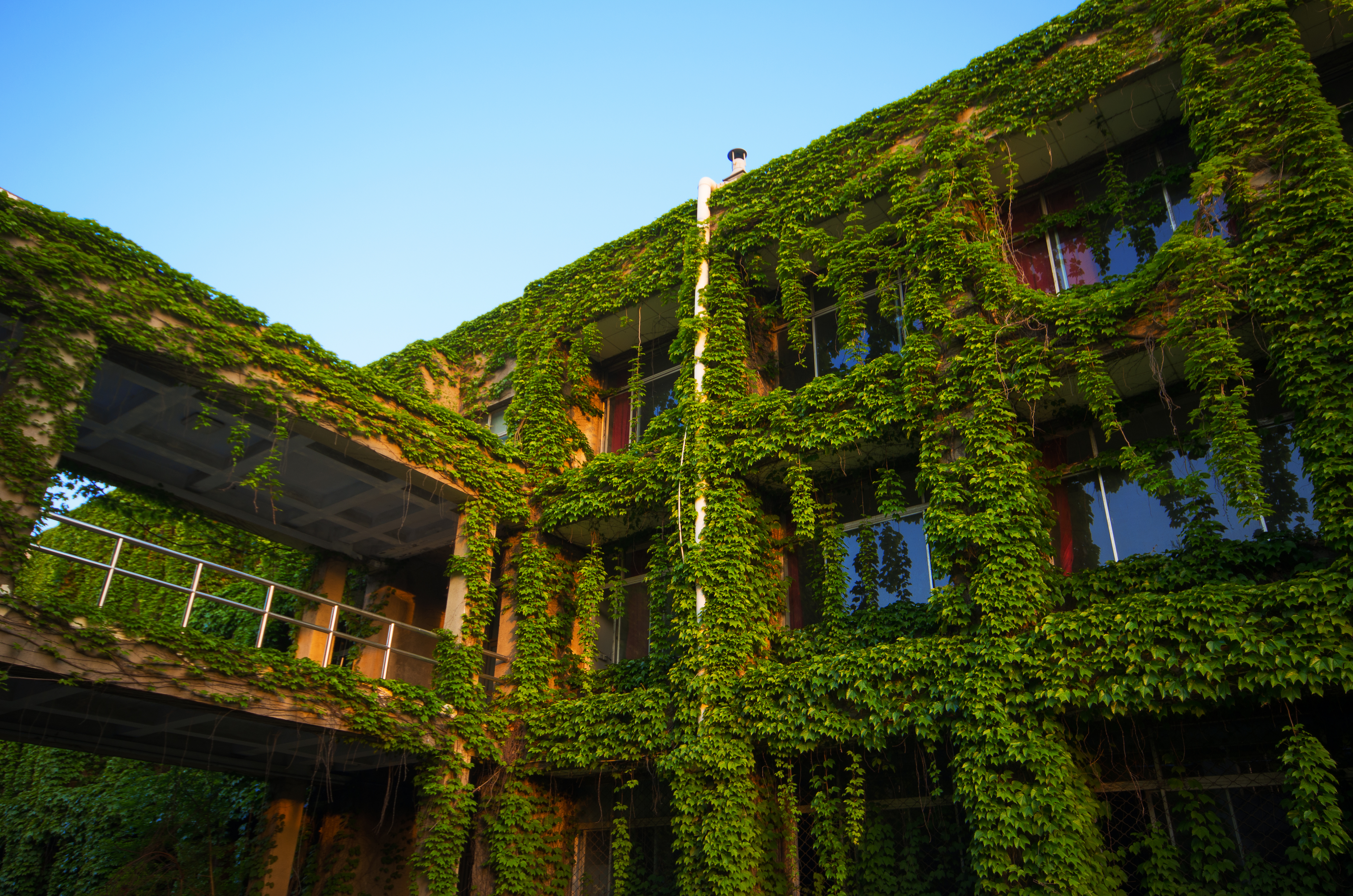 官方回复两所独立学院拟转设更名,2020年多所独立学院转设进展情况