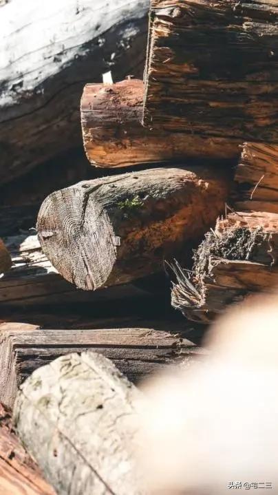 热带雨林木地板,户外庭院木地板推荐