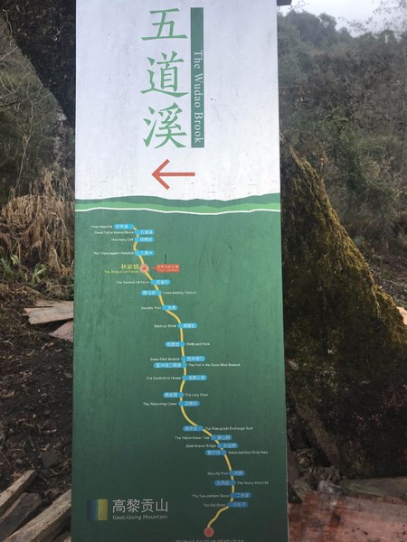 鑺掑競鍜岃吘鍐茬憺涓藉摢涓ソ,鑵惧啿鐟炰附鑺掑競瑗垮弻鐗堢撼