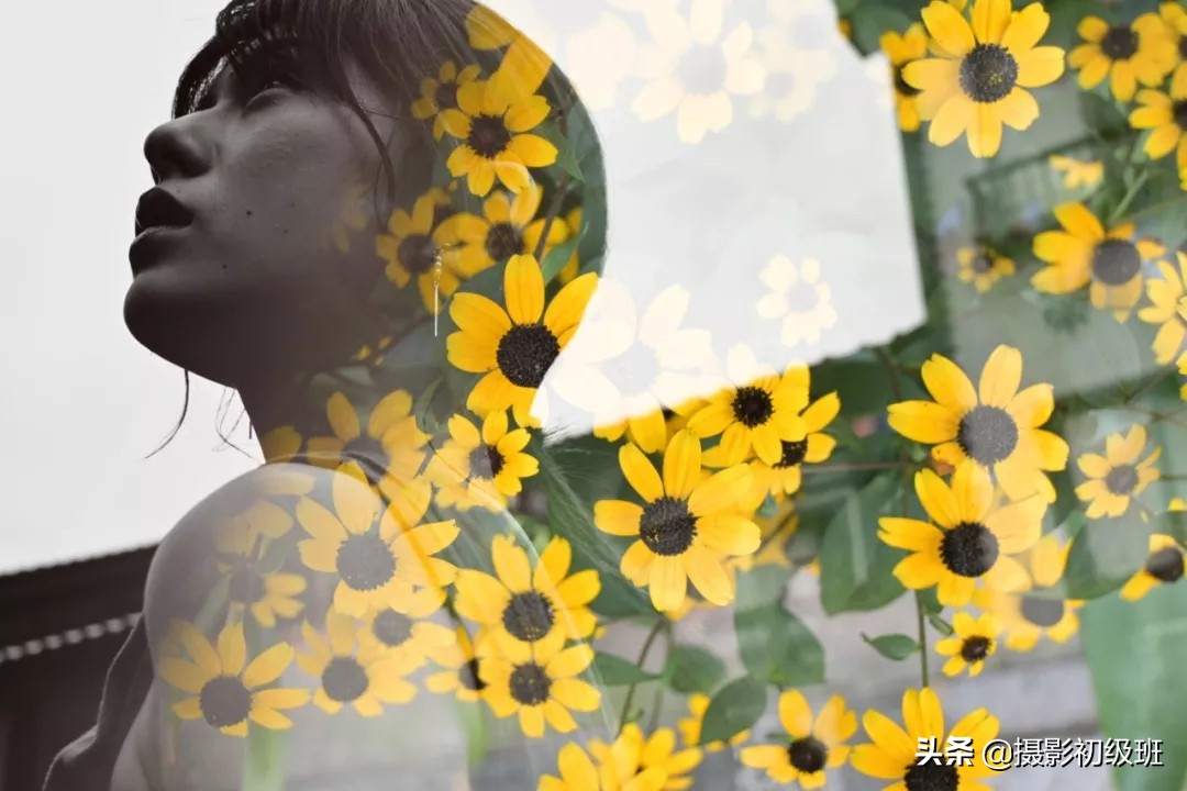 尼康aps-c画幅机皇,尼康apsc画幅微单