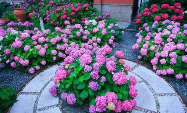 全封闭的院落适合养花吗,家庭小院养花技巧