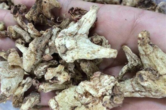 白芨出售时怎样分类,这段时间收购的白芨有哪些