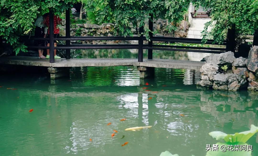 留园拙政园哪个景色好,留园和拙政园