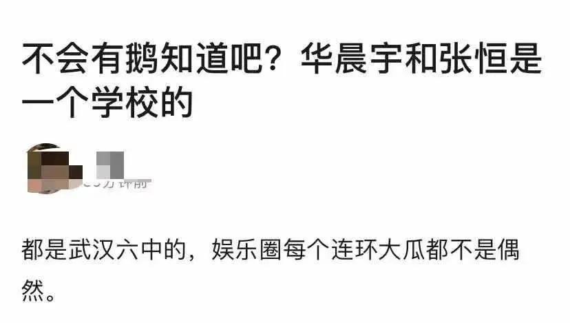 艾小羊：华晨宇非婚生女：一场完美的公关