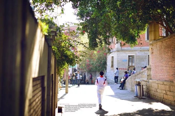 春节厦门免费景点推荐,离厦门最近的城市景点推荐