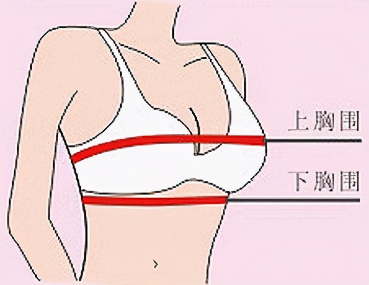 因为胸罩勒出副乳怎么办,戴胸罩时乳房往中间突出什么原因