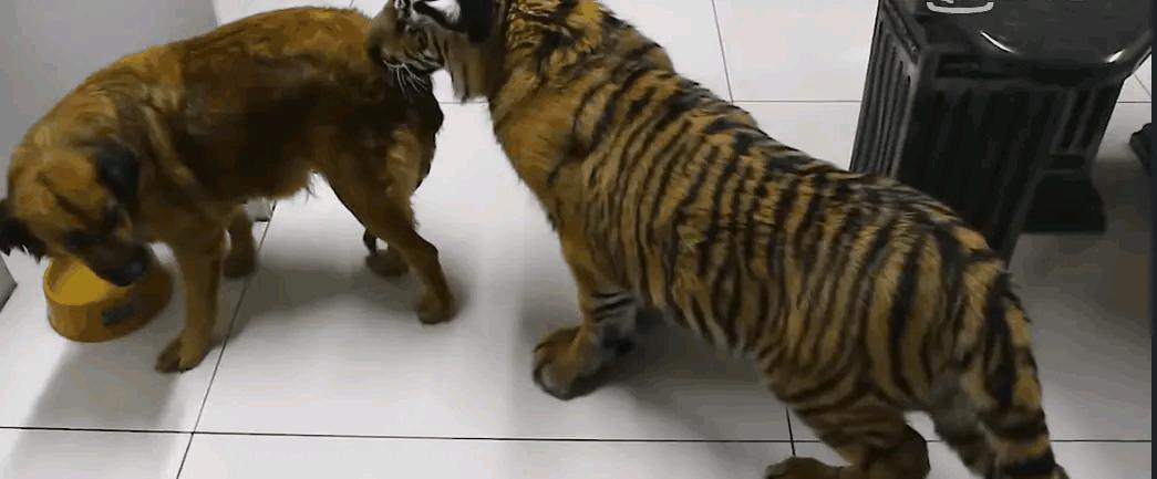 为什么加油站要24小时上班,为什么加油站一个工资1800