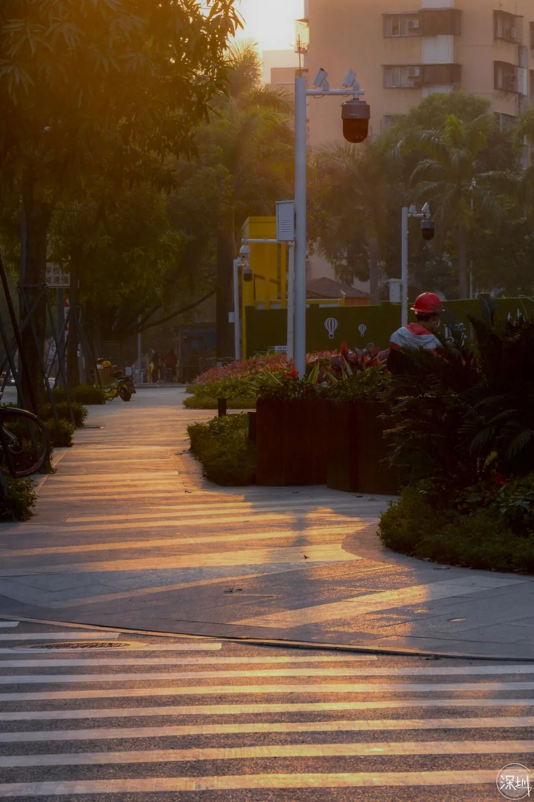 景甜有多大,景田是什么档次
