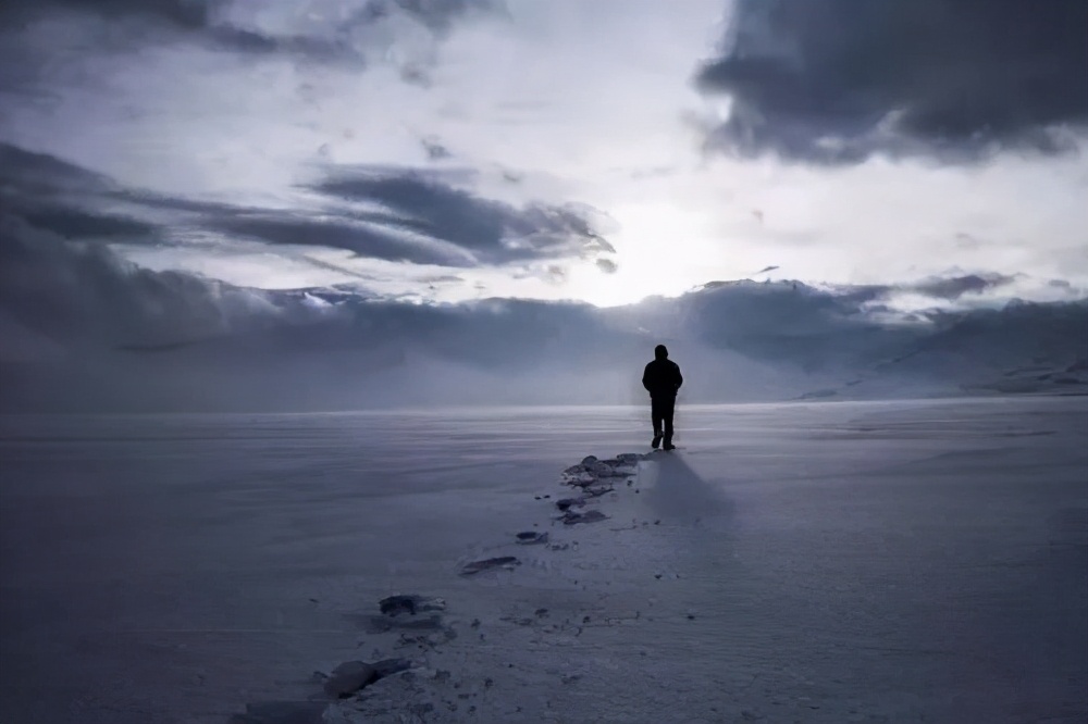 知乎115万热度：没学历，啥也不会，不进厂上班还能干什么？