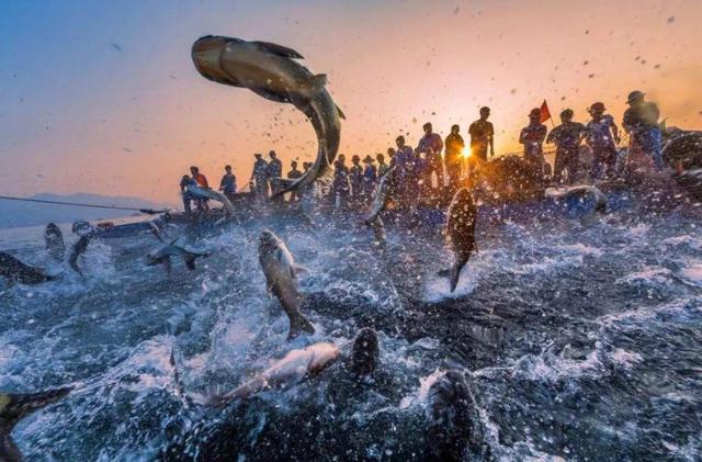 马云海底捞现状,马云卸任后还拥有什么