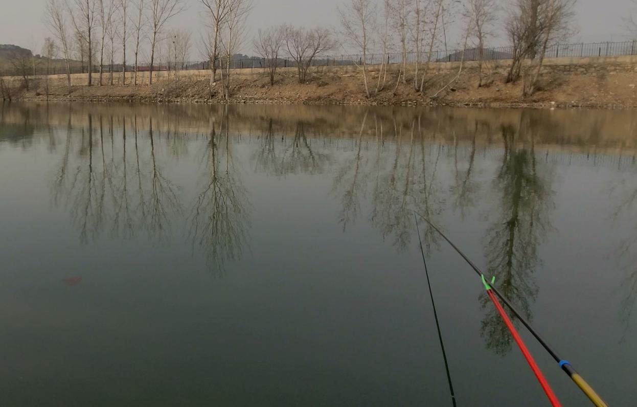 秋季路亚钓鲈鱼追饵不咬,路亚下午怎么钓鲈鱼