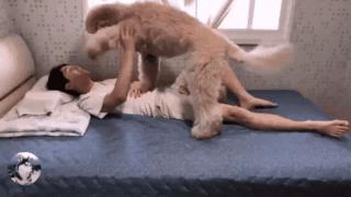 捡到一只泰迪不吃狗粮,捡到小泰迪生病了