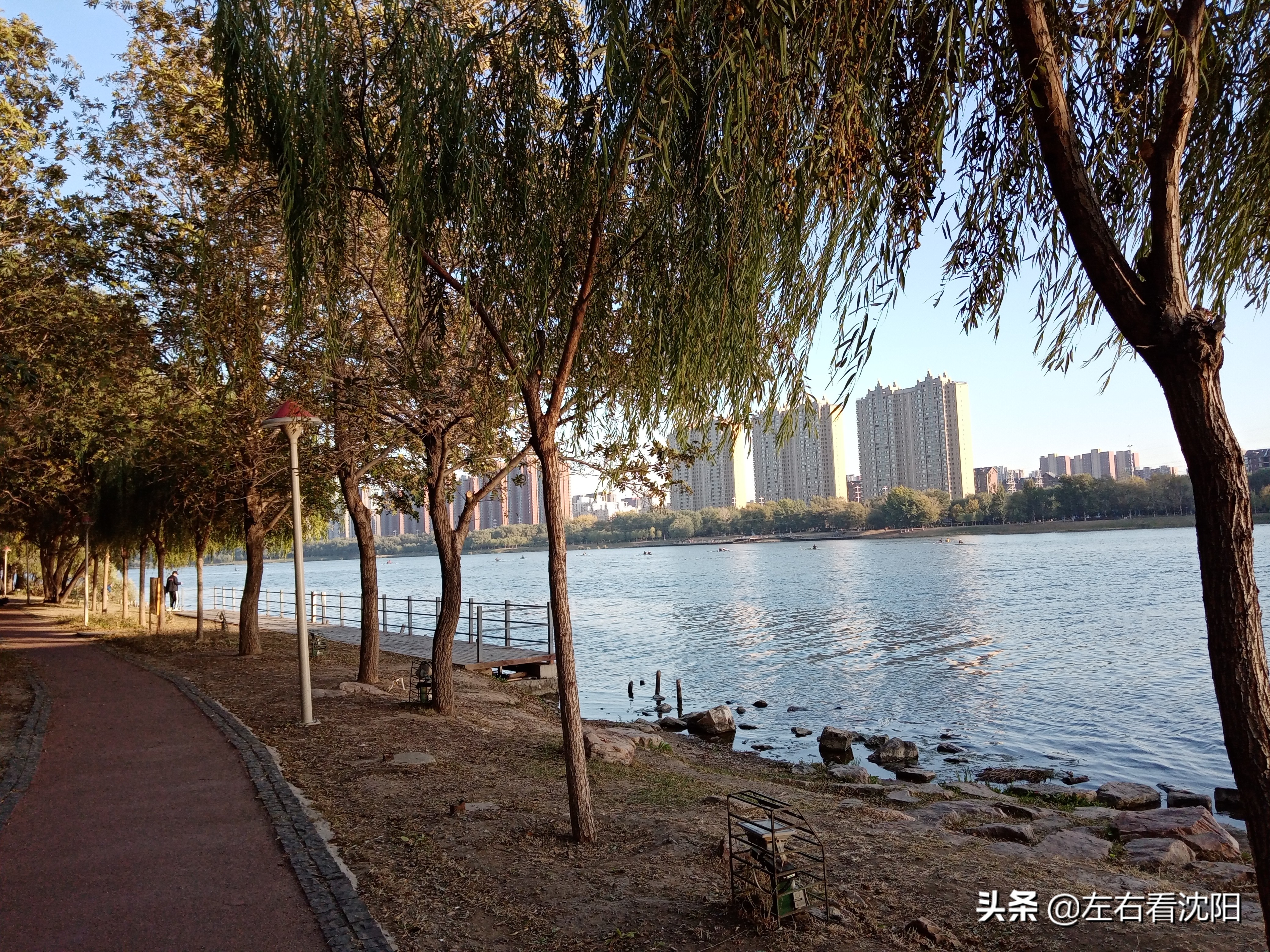 沈阳五里河公园攻略,沈阳五里河公园现在开吗