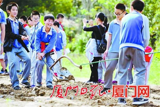 2019年厦门幼升小公办学校条件,教育大爆发