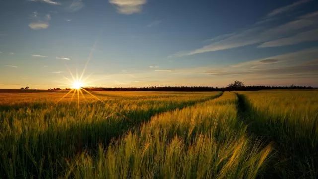 为了开出一张有质量的处方，得背背这个