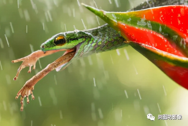 国际摄影展获奖作品,国际摄影获奖作品欣赏第88期