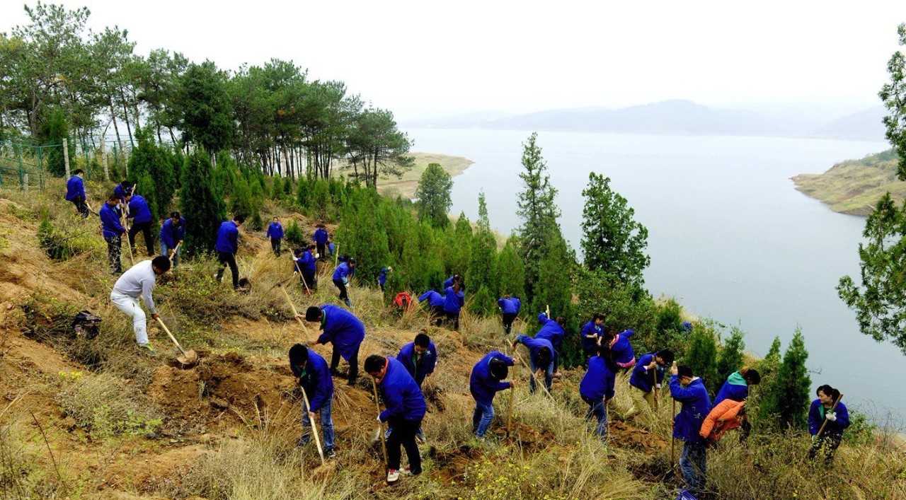 大型生猪养殖农业补贴,生猪养殖新型农业主体贷款