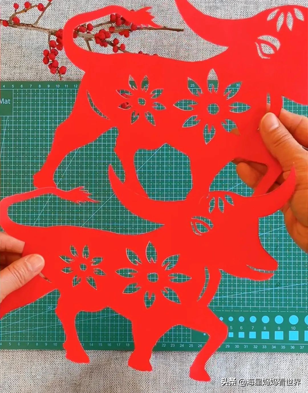 春节喜气洋洋大红灯笼高高挂,红红火火喜气洋洋百家姓灯笼