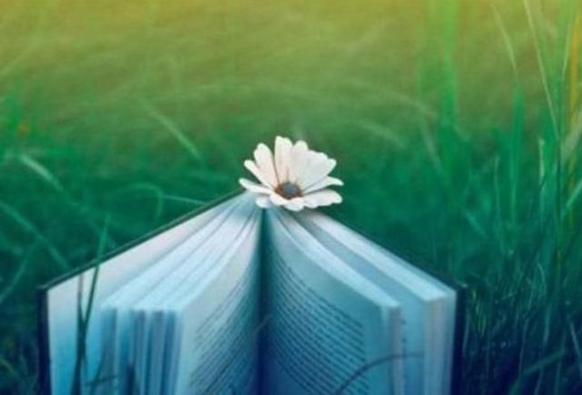 五年级上册语文将相和课后第四题,五年级上册将相和预习讲解